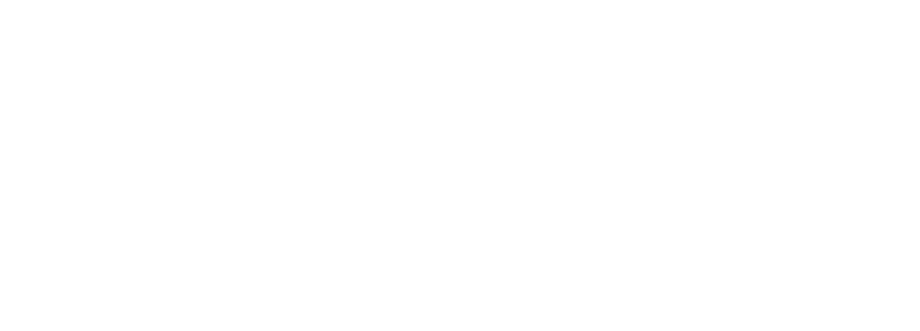 MAX Logo